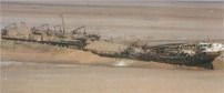 The Skeleton Coast